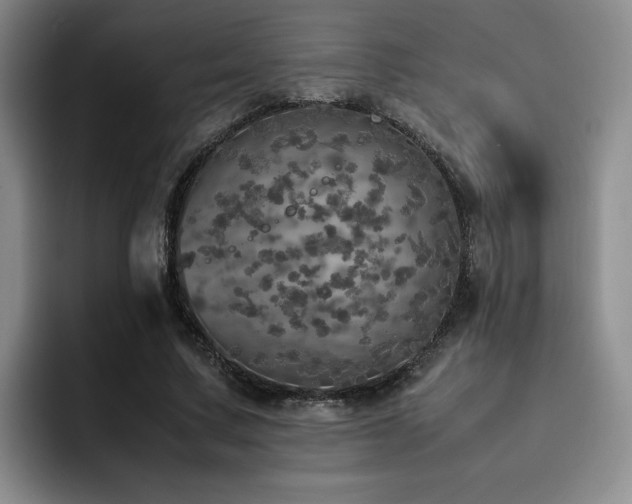 X0000092330683200709141419
