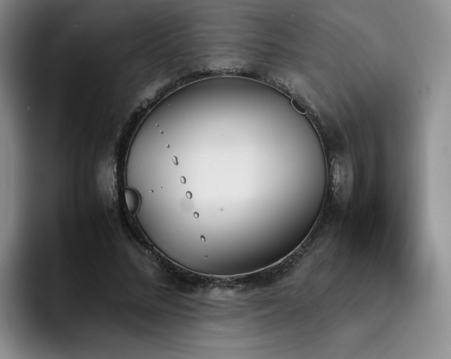 X0000092330684200709141419