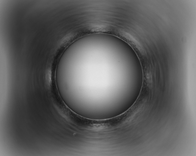 X0000092330686200709141419