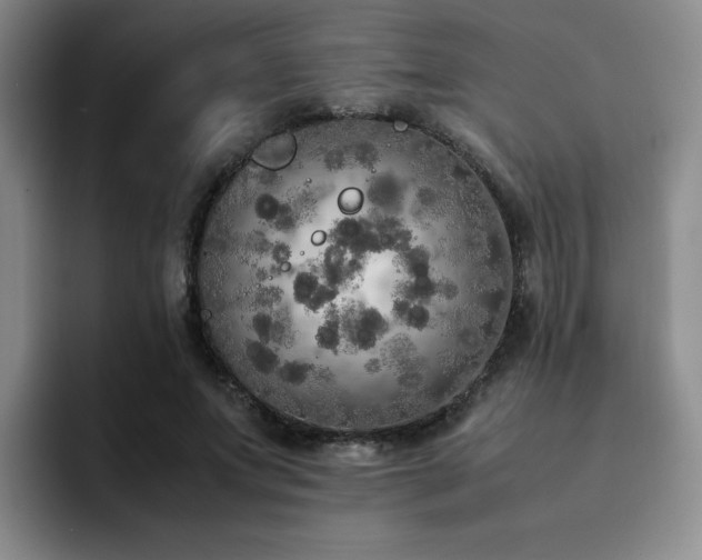 X0000092330687200709141419