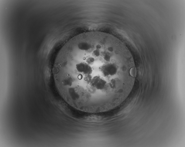 X0000092330691200709141418