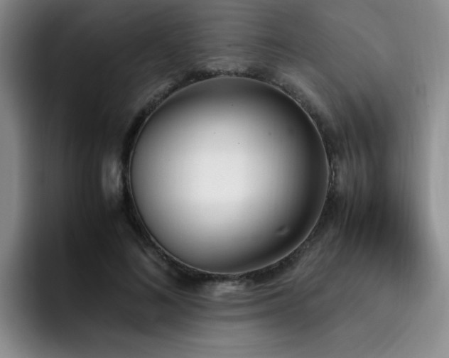 X0000092330692200709141418
