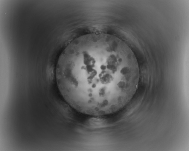 X0000092330699200709141418