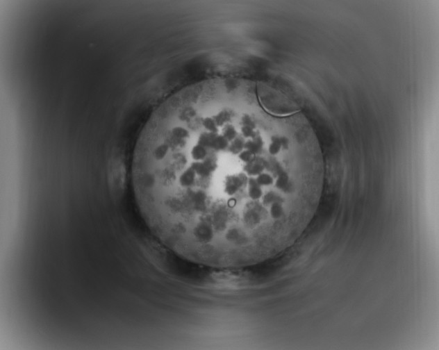 X0000092330703200709141418