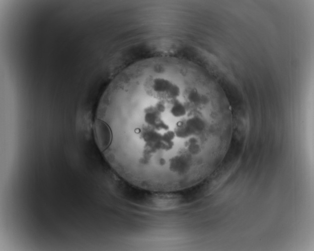 X0000092330707200709141418