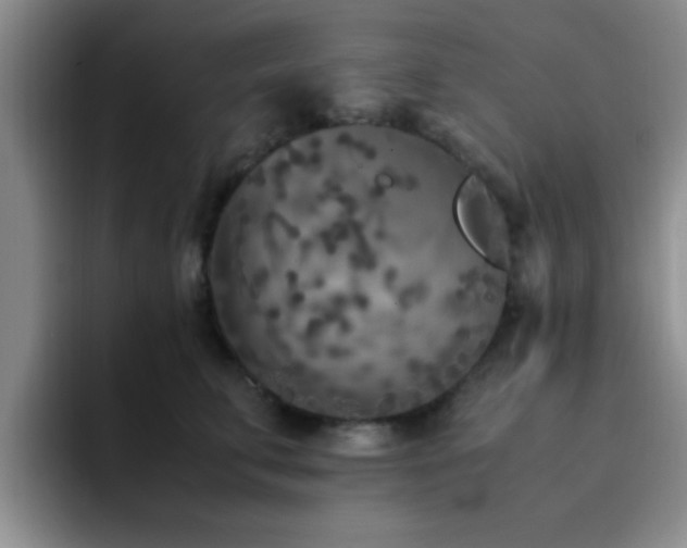 X0000092330711200709141418