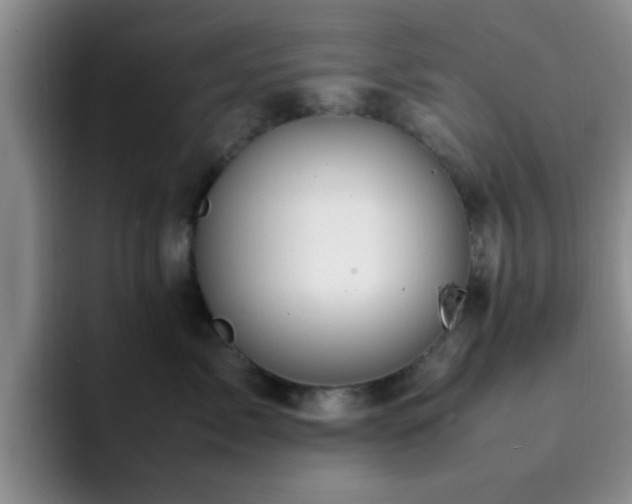 X0000092330717200709141418