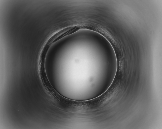 X0000092330724200709141418