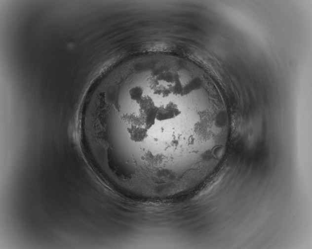X0000092330725200709141418