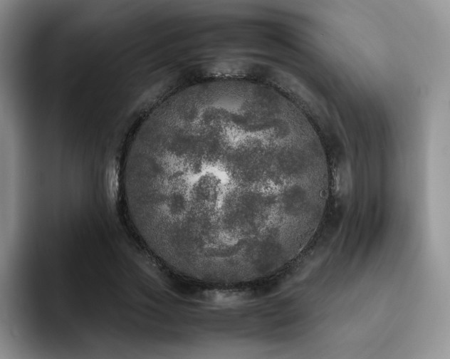 X0000092330733200709141418