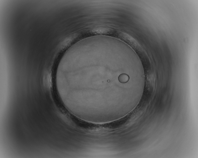 X0000092330734200709141418
