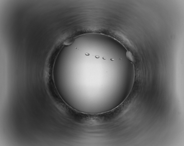 X0000092330736200709141418