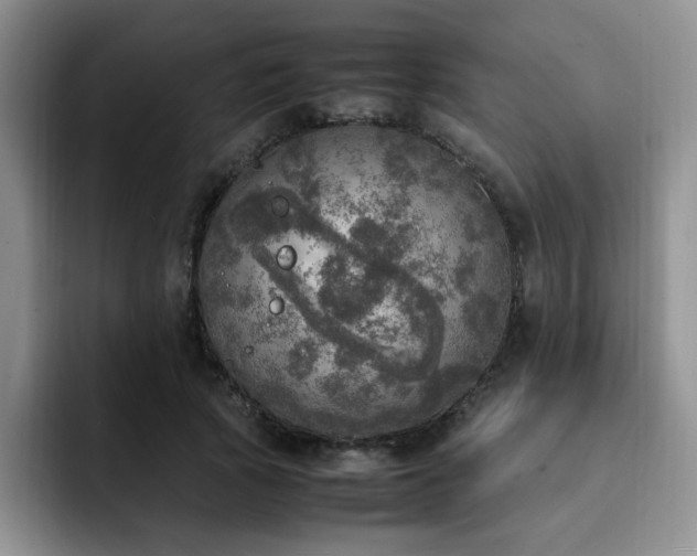 X0000092330737200709141418