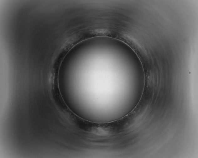 X0000092330739200709141418