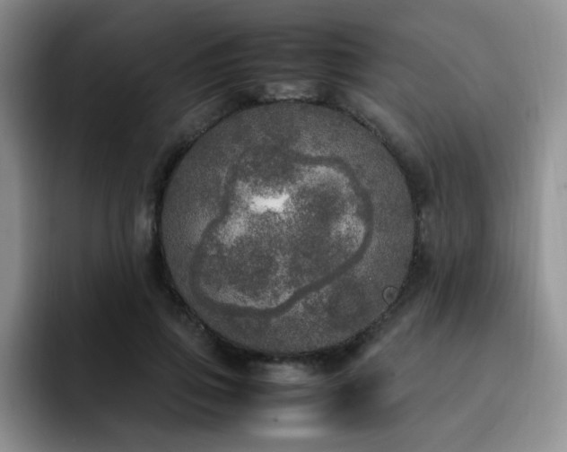 X0000092330741200709141418