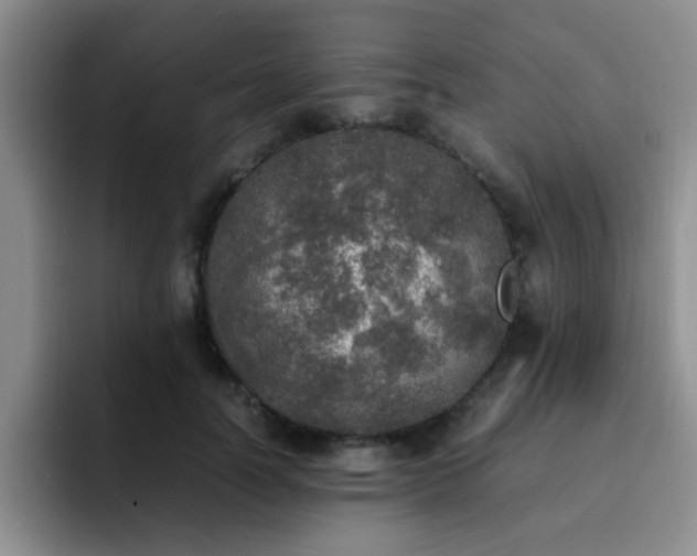 X0000092330746200709141418