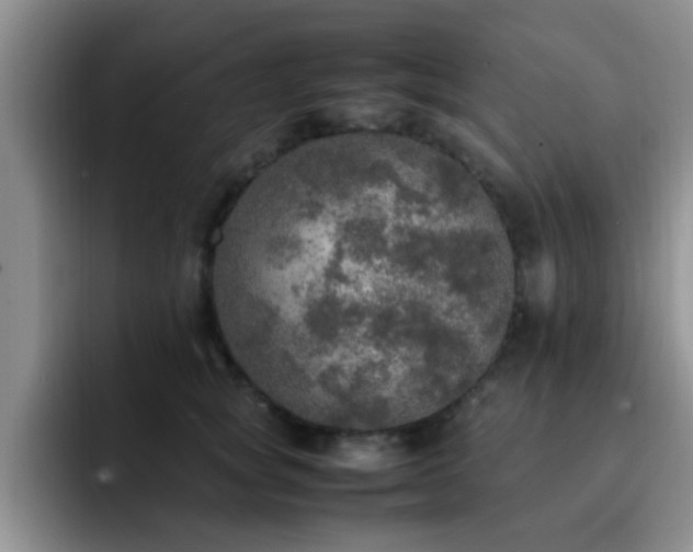 X0000092330757200709141418