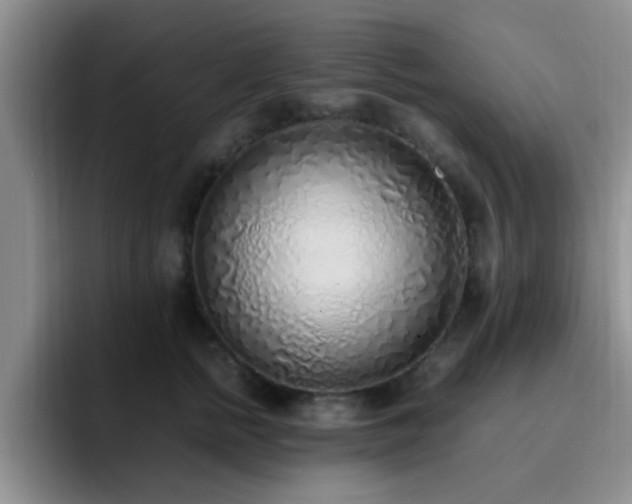 X0000092330758200709141418