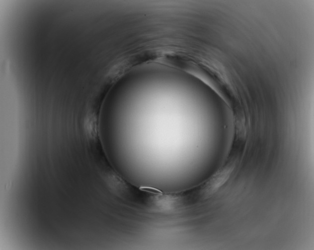 X0000092330766200709141418