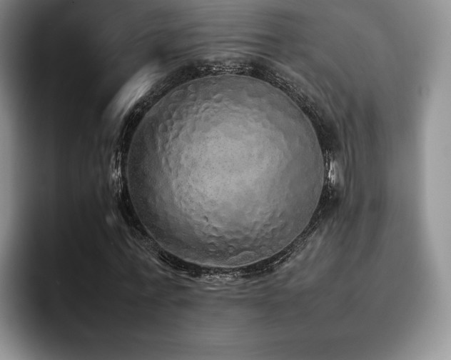 X0000092330771200709141417