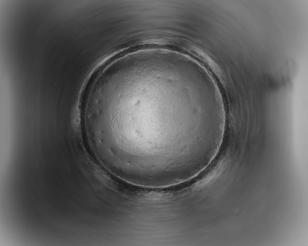 X0000092330779200709141417