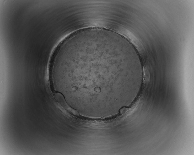 X0000092330780200709141417