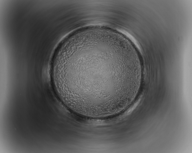 X0000092330783200709141417