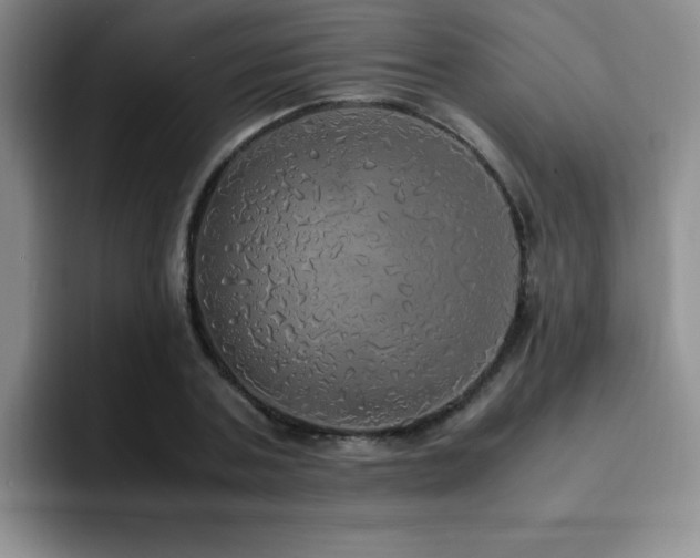 X0000092330787200709141417