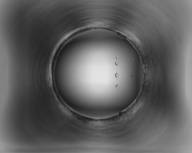 X0000092330792200709141417