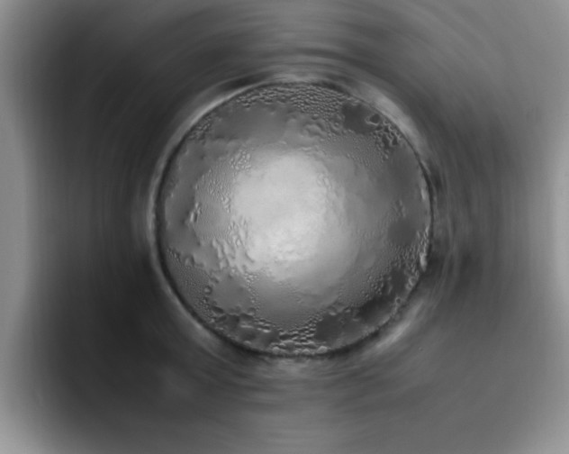 X0000092330803200709141417