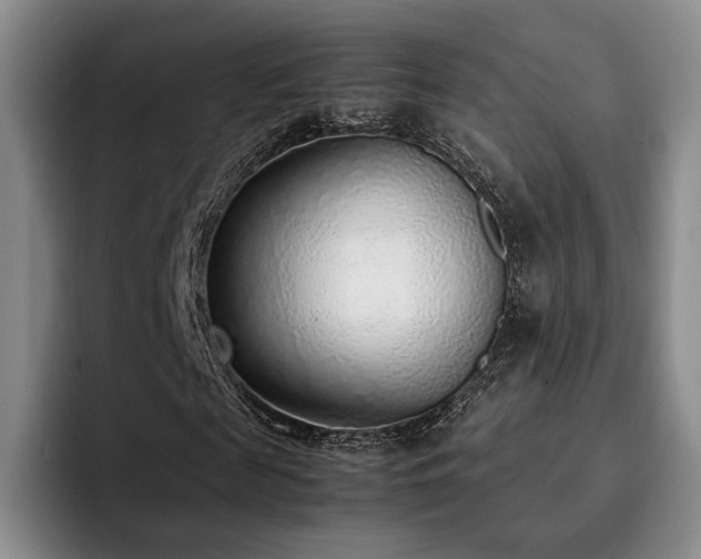 X0000092330817200709141416