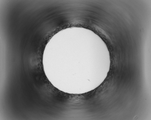 X0000092330824200709141416