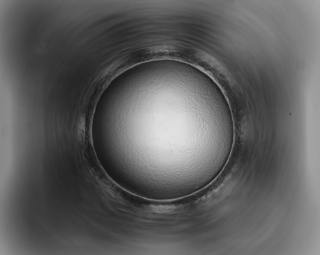 X0000092330825200709141416