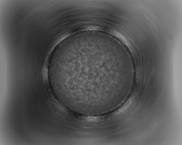 X0000092330827200709141416