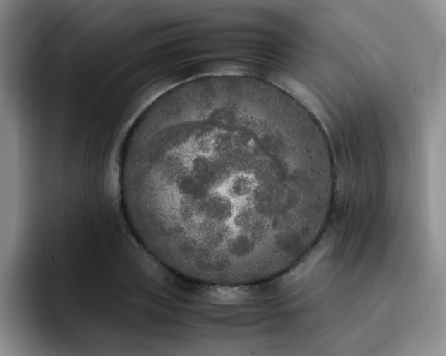 X0000092330835200709141416