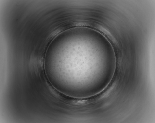 X0000092330841200709141417