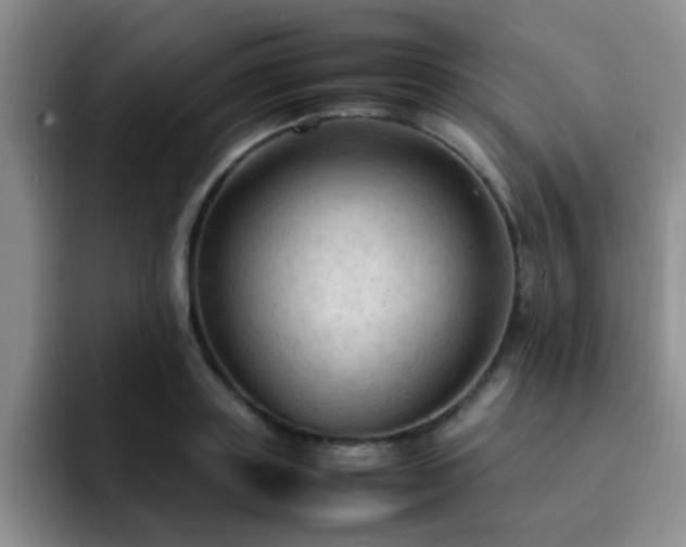 X0000092330843200709141417