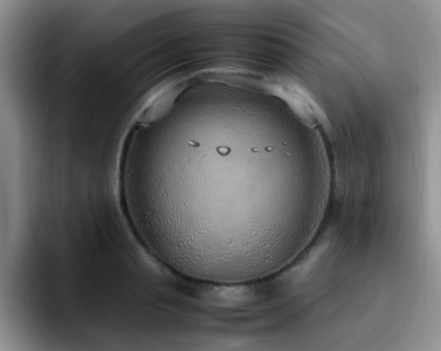X0000092330845200709141417
