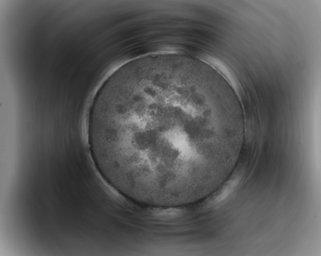 X0000092330851200709141417