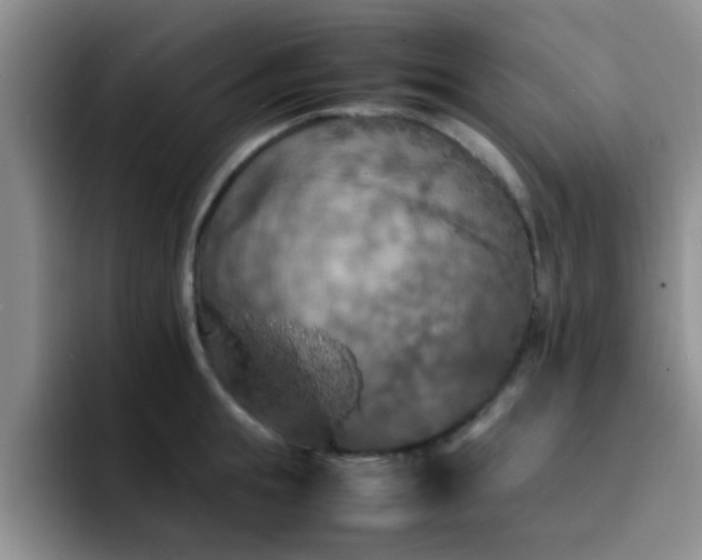 X0000092330855200709141417