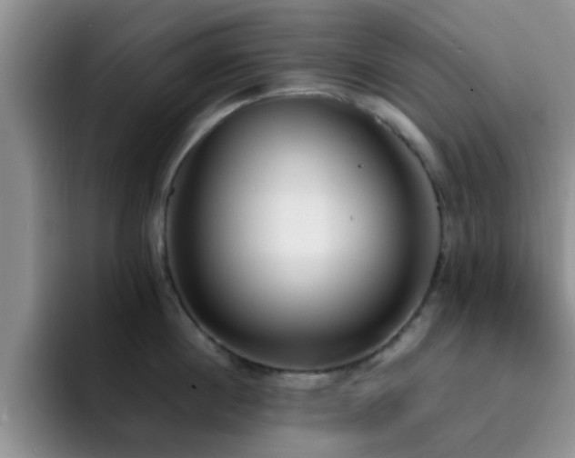 X0000092330860200709141417