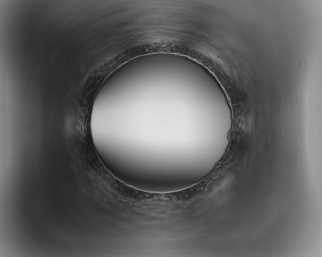 X0000092330869200709141416