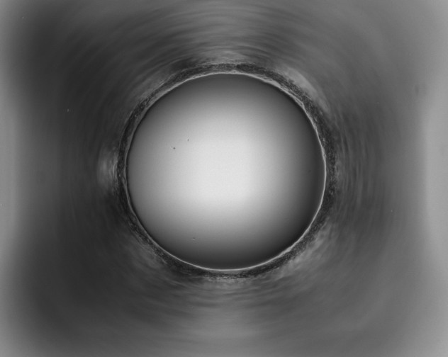 X0000092330873200709141416