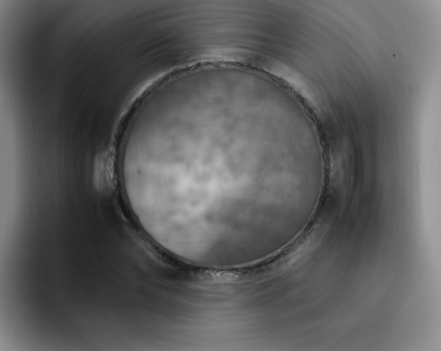 X0000092330878200709141416