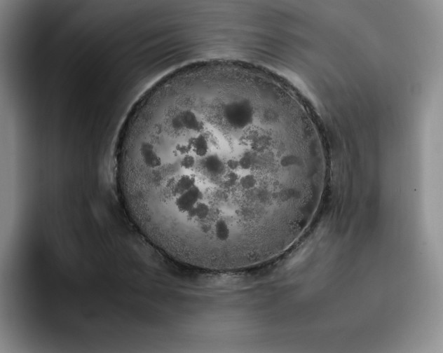 X0000092330879200709141416