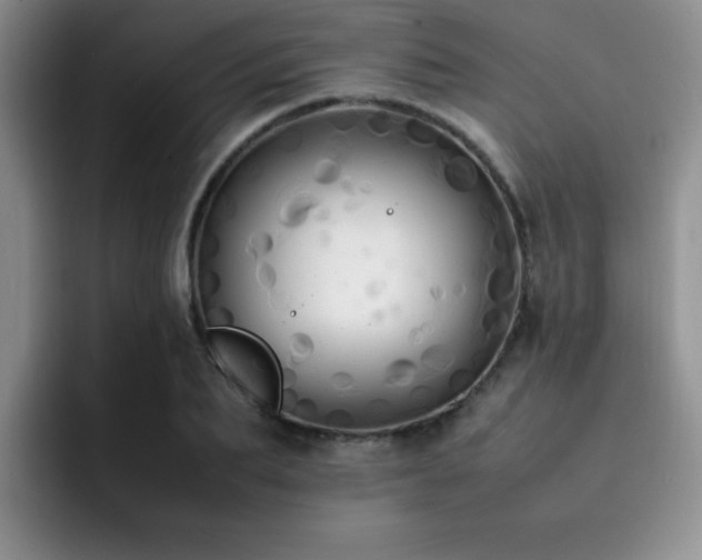X0000092330887200709141416