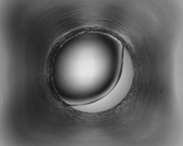 X0000092330920200709141415