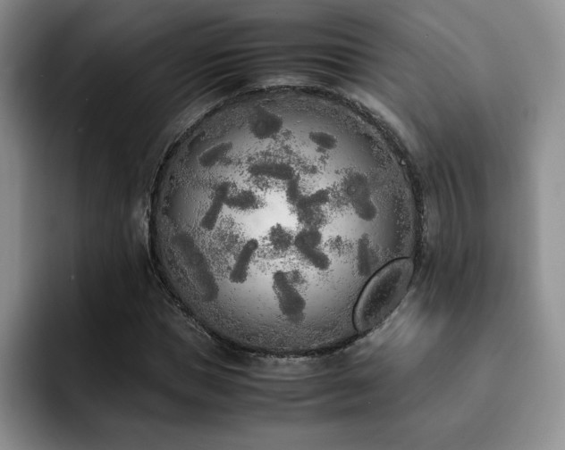 X0000092330921200709141415