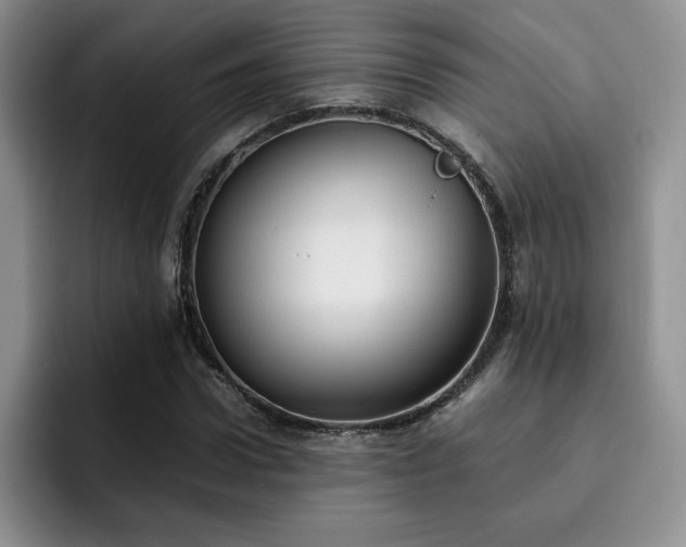 X0000092330922200709141415