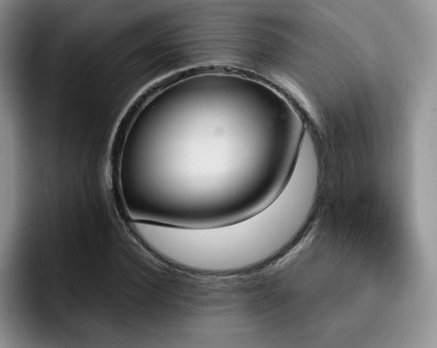 X0000092330924200709141415